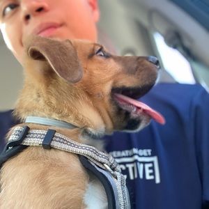 Meet your Posher, Greg